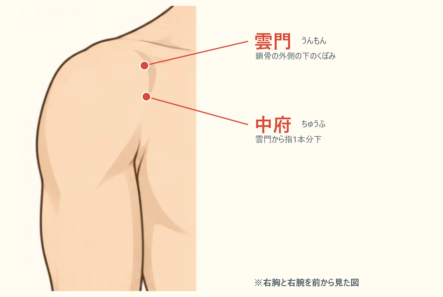 中府と雲門の位置図。右胸を前から見た図