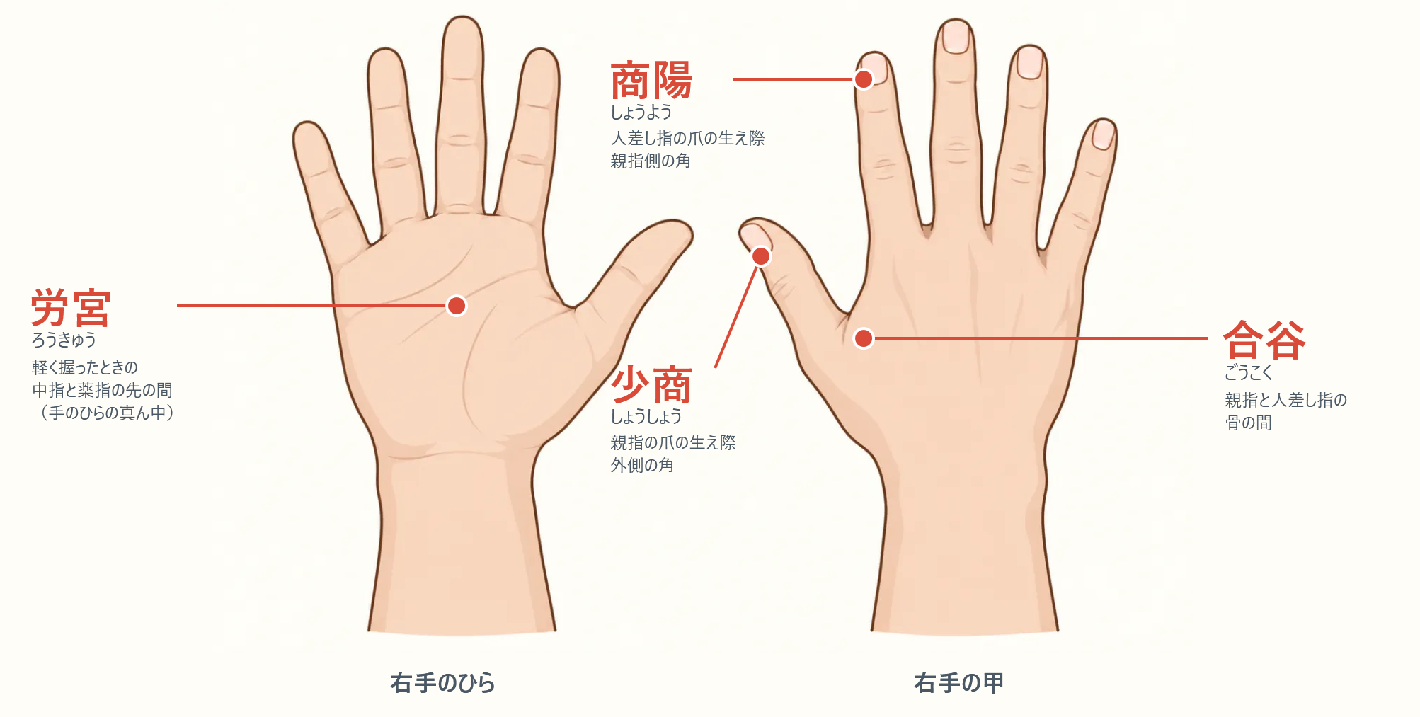 手のツボ(労宮・少商・商陽・合谷)の位置図。右手のひらと右手の甲