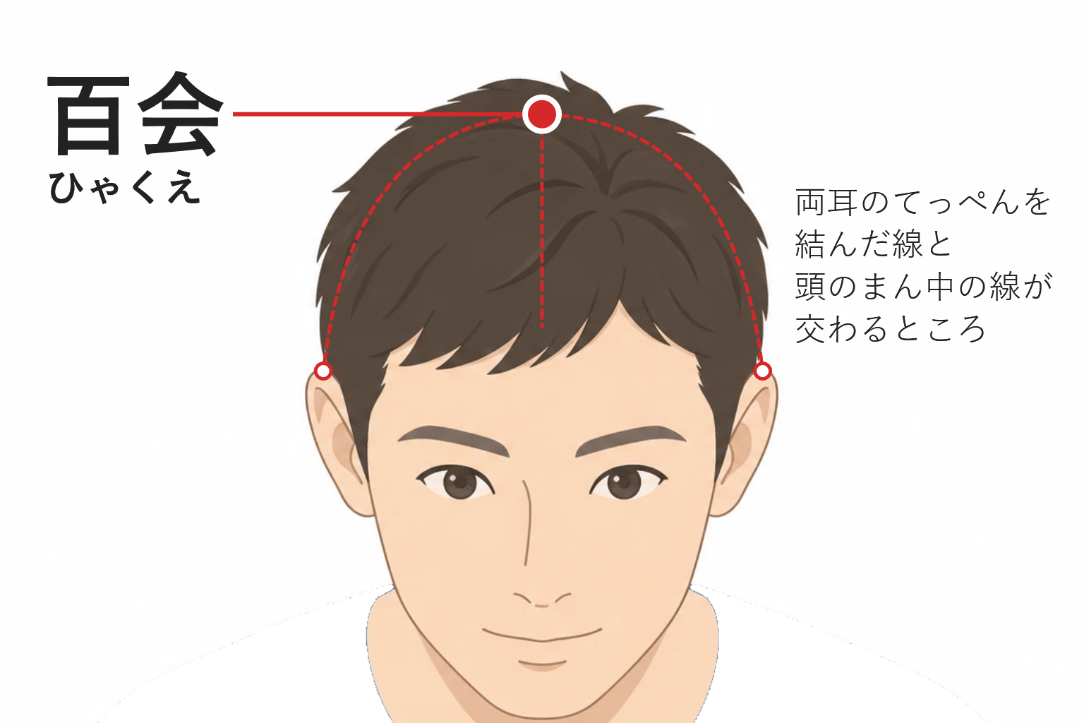 百会（ひゃくえ）の位置。両耳のてっぺんを結んだ線と、頭のまん中の線が交わるところ