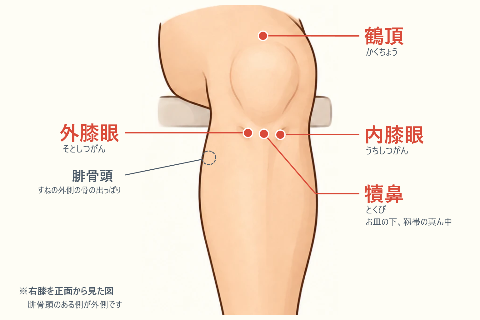 膝まわりのツボ（鶴頂・犢鼻・内膝眼・外膝眼）の位置図。右膝を正面から見た図