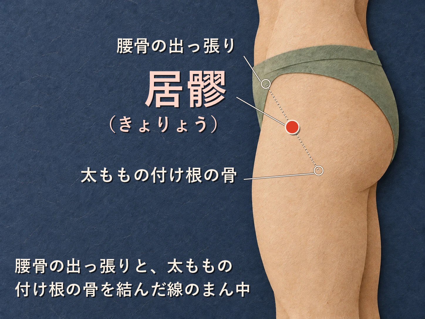 居髎（きょりょう）の位置：腰骨の出っ張りと太ももの付け根の骨を結んだ線のまん中