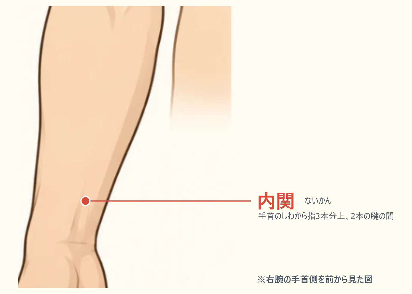 内関の位置図。手首のしわから指3本分上、2本の腱の間