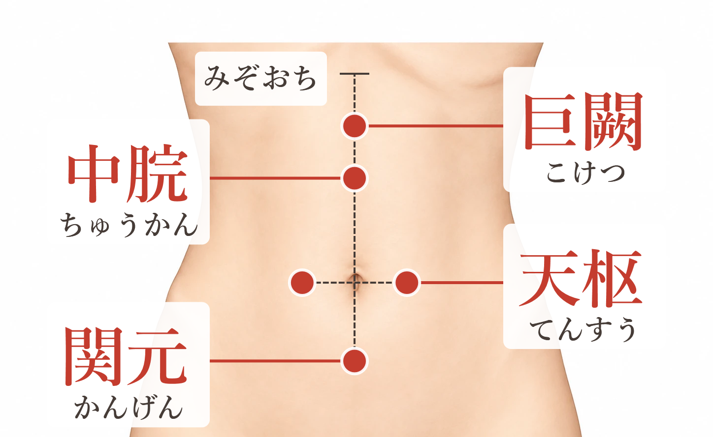 お腹のツボの位置（巨闕・中脘・天枢・関元）