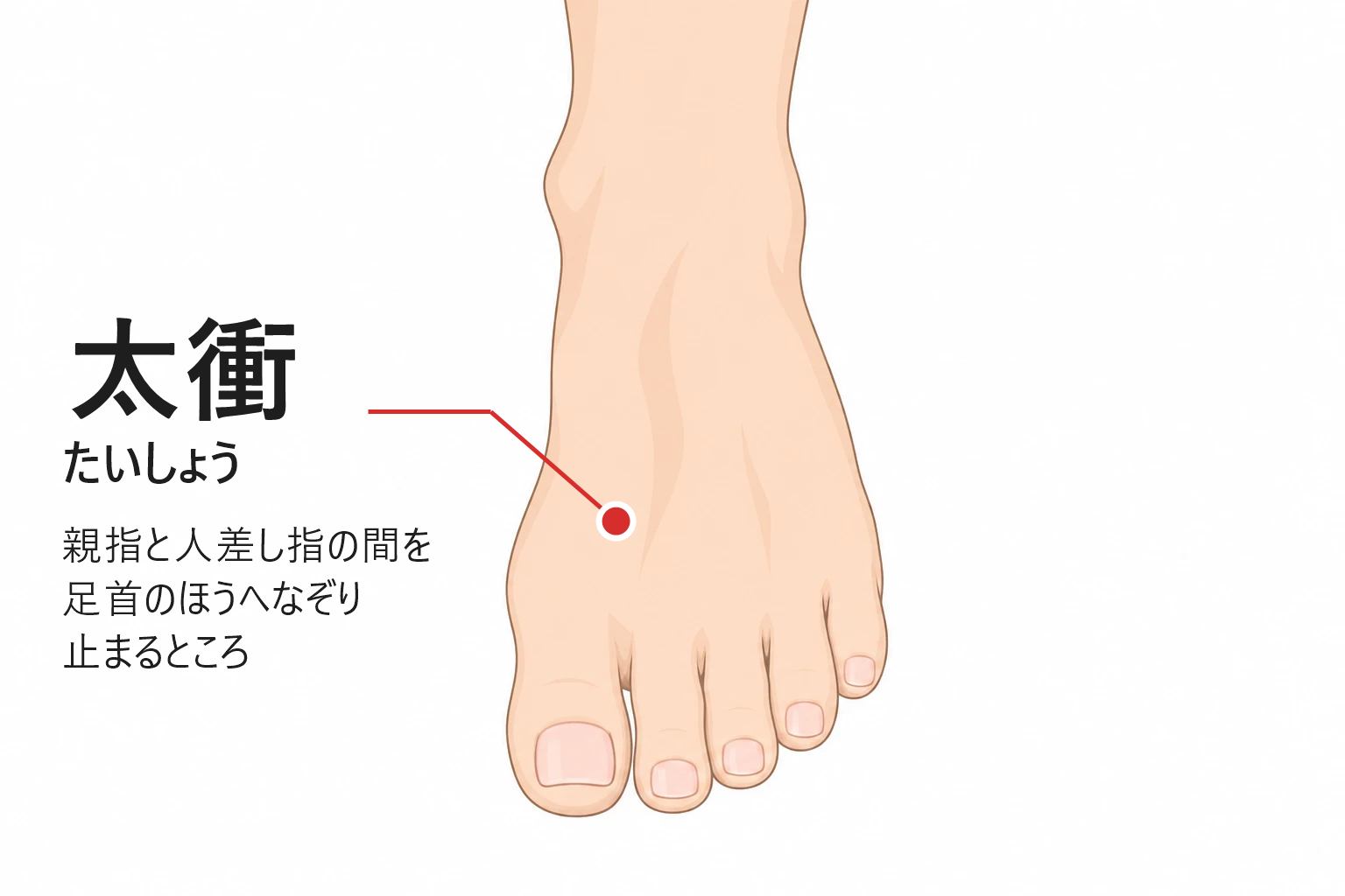 太衝の位置。足の甲、親指と人差し指の間を足首のほうへなぞって止まるところ
