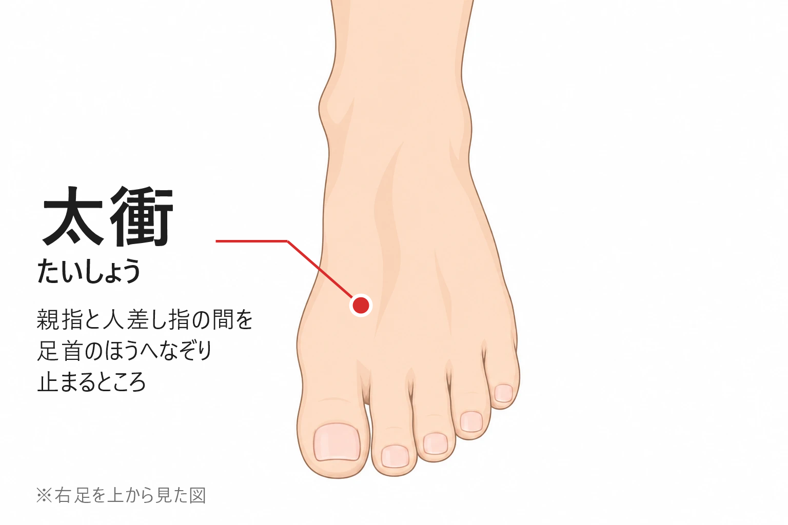 太衝の位置。右足の甲、親指と人差し指の間を足首のほうへなぞって止まるところ